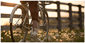 bike5